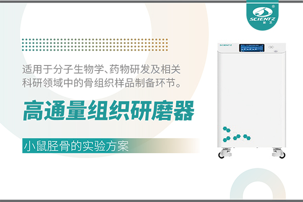 高通量組織研磨器處理小鼠脛骨樣品的實(shí)驗(yàn)方案
