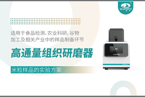 高通量組織研磨器處理大米樣品的實驗方案