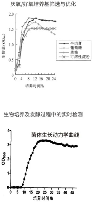 過程安全，結(jié)果精準(zhǔn)